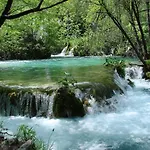 Tamarix Hotel 4*