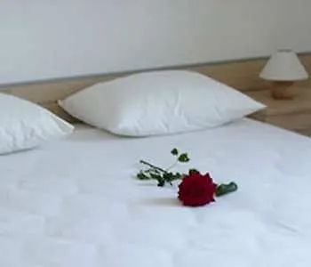 Tamarix 4* Vinjerac